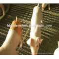 hog floor mesh High tensile quality for the pig woven wire hog flooring